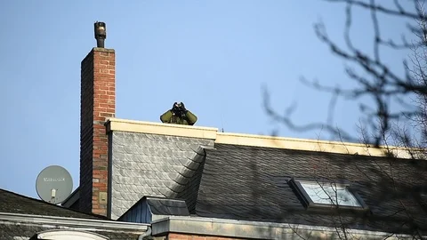 Special forces sniper securing a perimeter from a rooftop Video stock 101652364