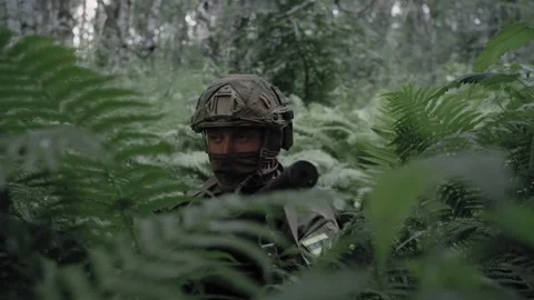 Special forces soldier sits in ambush in a dense deciduous forest Stock Footage 327350501