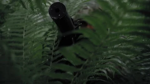 Special forces soldier with a weapon in his hands, in dense deciduous forest Stock Footage 327350841