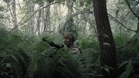Special forces soldier with a weapon in his hands, in dense deciduous forest Stock Footage 327350935