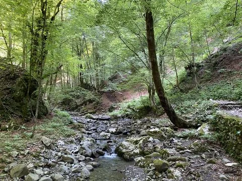 Special geomorphological reserve Devil's Pass canyon or Devil's Passage Stock Photos