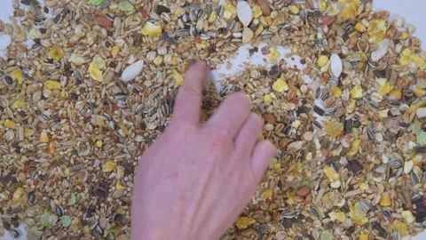 Special grain mixture for animals and birds. View from above. The hand draws a Vídeos de archivo 147944904