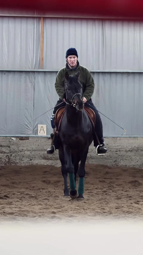 In special hangar, a young disabled man learns to ride a black, Thoroughbred Stock Footage 315218301