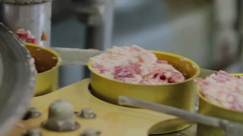 Special machine puts meat in cans 스톡 동영상 94155274