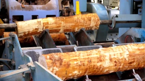  A special machine scrolls the tree for dissolution for manufacture of plywood. Stock Footage 233888118