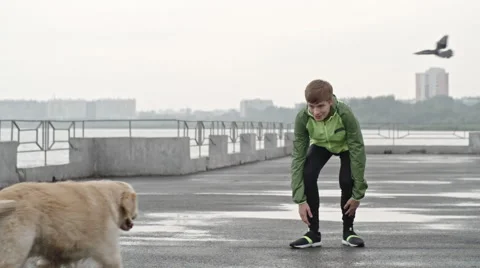 Special Moment with Dog Stock Footage