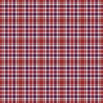 Special occasion plaid bundle for digital and print graphics. The supports .. 스톡 일러스트