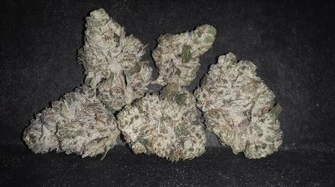 Special Ops Flower Stock-Fotos