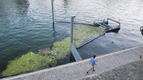 Special river blockage that traps debris and dirt. Environmental protection Stock Footage 252529334