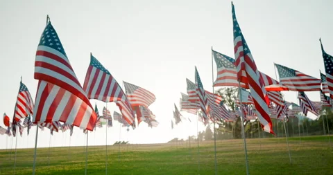 A special September 11 Tribute featuring a stunning display of US Flags for Video stock 285683019