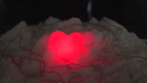 Special for valentine's day Stock Footage 169488217