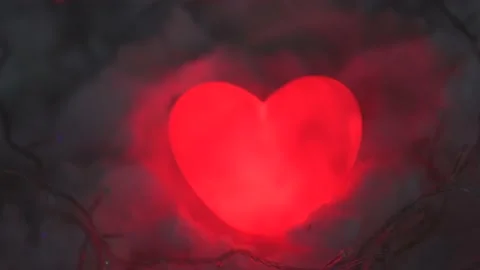 Special for valentine's day Stock Footage 169488316