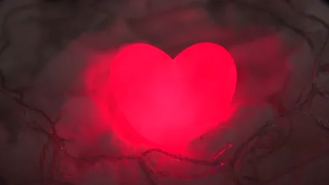 Special for valentine's day Stock Footage 169488606