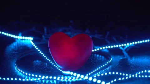 Special for valentine's day Stock Footage 169666988
