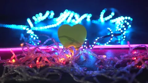 Special for valentine's day Stock Footage 169984585