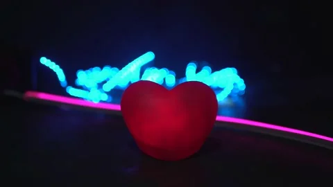 Special for valentine's day Stock Footage 169985229