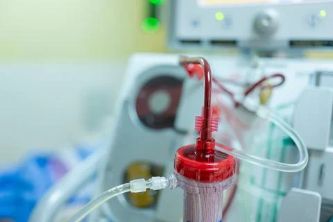 The specialist are checking continuous renal replacement therapy equipment an Stock Photos