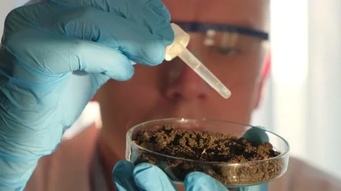 A specialist examines a sample of soil or soil in a laboratory, close-up 動画素材 154317463