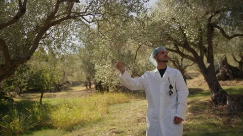 Specialist taking a quality check at a group of olive trees Stock Footage 285188077