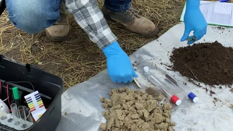 Specialist taking soil sample for laboratory analysis outdoors Stock Footage 205197673