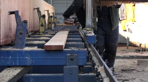 Specialist working on the machine for cutting large logs and planks pushing Stock Footage 62008616