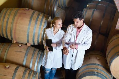 Specialists checking ageing process of wine Stock Photos
