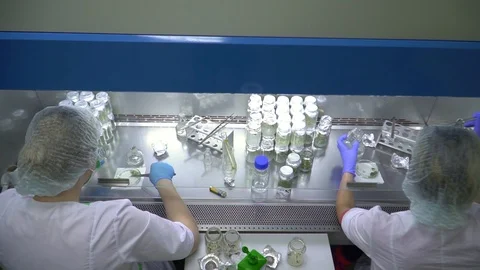 Specialists work with plant samples in the laboratory Stock Footage 123793642