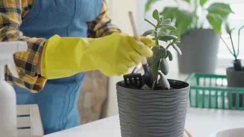 A specialized center for the provision of services for the elderly implements Stock Footage 265288598