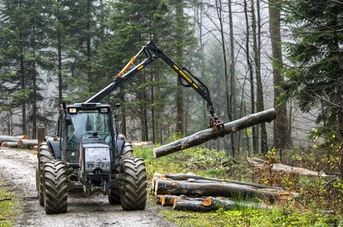 A specialized forest tractor working with logging in the rain in the Carpat.. Stockfoto's