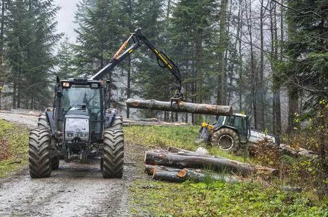 A specialized forest tractor working with logging in the rain in the Carpat.. Stockfoto's