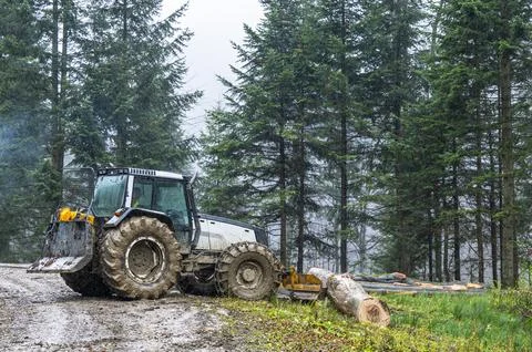 A specialized forest tractor working with logging in the rain in the Carpat.. Stockfoto's