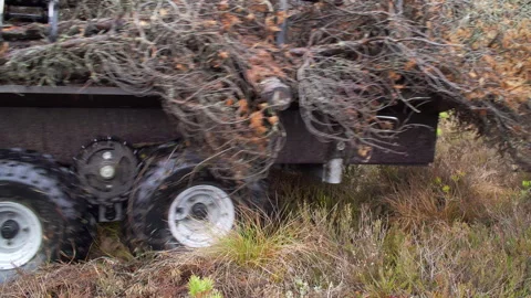 Specialized light forest machinery for work in swampy conditions. Stock Footage 260649949