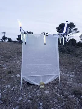 Specialized scientific insect light trap with white mesh net and fluorescen.. Stock-Fotos