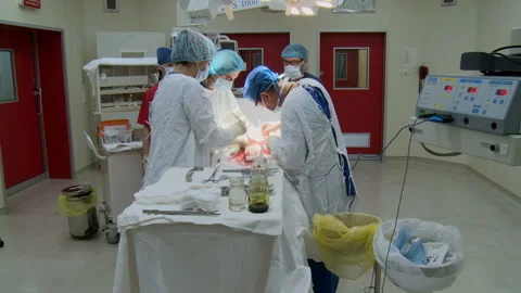 Specialized Team Performing Surgery In Operating Room Stockbeeldmateriaal 86330501