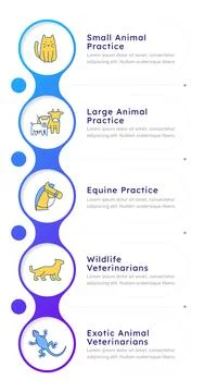 Specialized veterinary practice models infographic 5 steps 库存插图