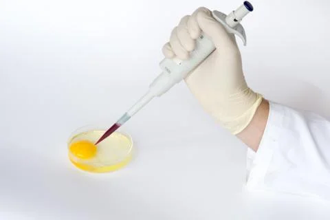 Species modifications Stock Photos