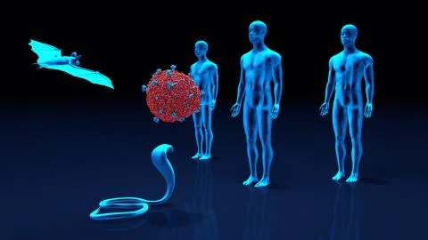 Species responsible for the human transmission of the Sars-CoV-2 coronavirus Иллюстрация