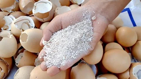 A specific focus of shattered Eggshells, and crushed eggshells on eggshell. Foto stock