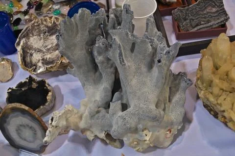 Specimen of blue crystal displayed on table Stock Photos