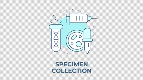 Specimen collection blue concept icon animation Stock Footage 344175553