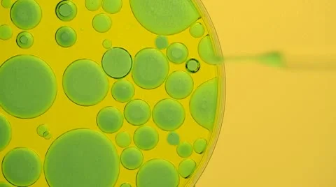 Specimen extraction in lab Stock Footage 10591099