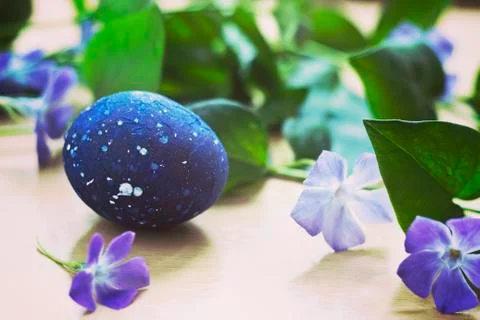 Speckled blue Easter egg Stock Photos