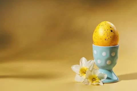 Speckled Easter egg in pastel cup with daffodils on soft background Стоковые фото