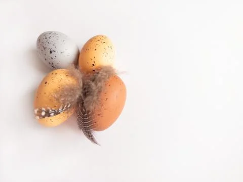 Speckled Easter eggs with soft feathers on white background with copy space Фото