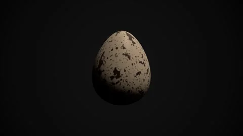 Speckled egg against black background. 3d rendering Stock Footage 342000641