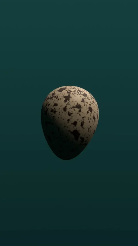 Speckled egg on dark teal background. 3d rendering 库存影片 342000748
