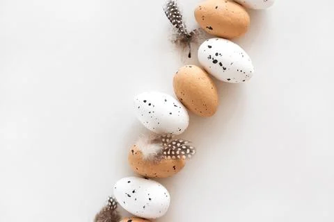 Speckled Eggs with Feathers on White Background Stock-Fotos