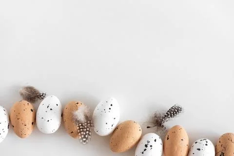 Speckled Eggs with Feathers on White Background Stock-Fotos