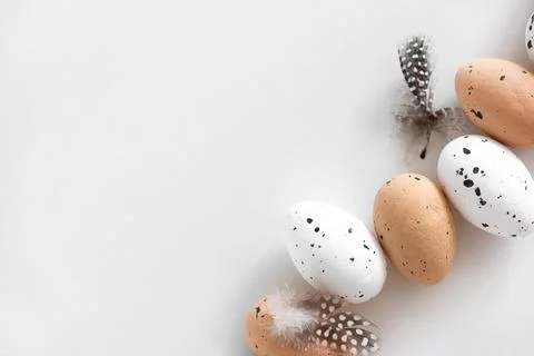 Speckled Eggs with Feathers on White Background Stock-Fotos