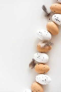 Speckled Eggs with Feathers on White Background 스톡 사진